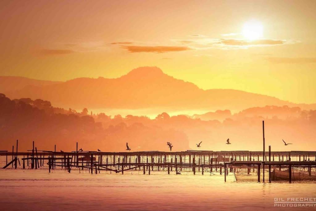 La Digue, 2 Chambres, Vue Mer Et Piscine La Seyne-sur-Mer Exteriör bild