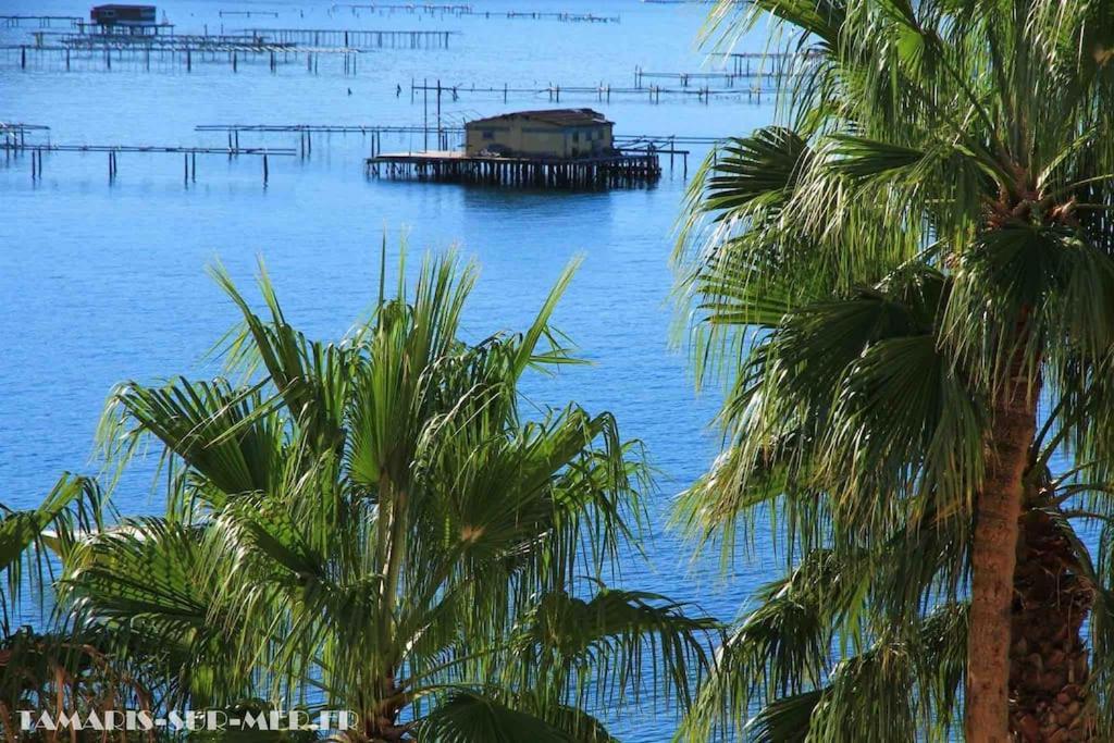 La Digue, 2 Chambres, Vue Mer Et Piscine La Seyne-sur-Mer Exteriör bild