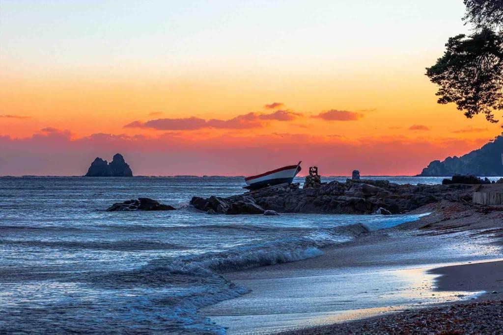 La Digue, 2 Chambres, Vue Mer Et Piscine La Seyne-sur-Mer Exteriör bild